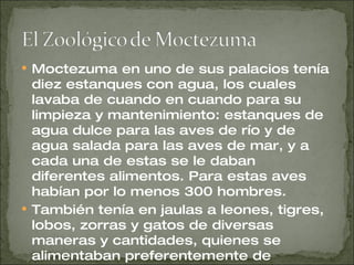 Moctezuma en uno de sus palacios tenía diez estanques con agua, los cuales lavaba de cuando en cuando para su limpieza y mantenimiento: estanques de agua dulce para las aves de río y de agua salada para las aves de mar, y a cada una de estas se le daban diferentes alimentos. Para estas aves habían por lo menos 300 hombres. También tenía en jaulas a leones, tigres, lobos, zorras y gatos de diversas maneras y cantidades, quienes se alimentaban preferentemente de gallinas. 