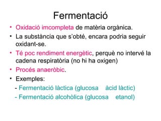 Fermentació
• Oxidació imcompleta de matèria orgànica.
• La substància que s’obté, encara podria seguir
oxidant-se.
• Té poc rendiment energètic, perquè no intervé la
cadena respiratòria (no hi ha oxigen)
• Procés anaeròbic.
• Exemples:
- Fermentació làctica (glucosa àcid làctic)
- Fermentació alcohòlica (glucosa etanol)
 