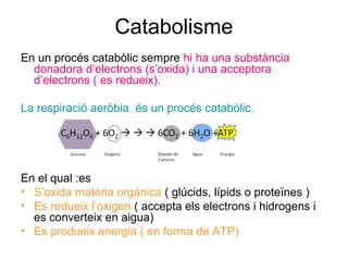 Catabolisme
En un procés catabòlic sempre hi ha una substància
donadora d’electrons (s’oxida) i una acceptora
d’electrons ( es redueix).
La respiració aeròbia és un procés catabòlic.
En el qual :es
• S’oxida matèria orgànica ( glúcids, lípids o proteïnes )
• Es redueix l’oxigen ( accepta els electrons i hidrogens i
es converteix en aigua)
• Es produeix energia ( en forma de ATP)
 