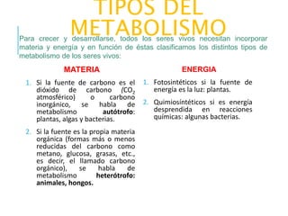 TIPOS DEL
METABOLISMOPara crecer y desarrollarse, todos los seres vivos necesitan incorporar
materia y energía y en función de éstas clasificamos los distintos tipos de
metabolismo de los seres vivos:
MATERIA
1. Si la fuente de carbono es el
dióxido de carbono (CO2
atmosférico) o carbono
inorgánico, se habla de
metabolismo autótrofo:
plantas, algas y bacterias.
2. Si la fuente es la propia materia
orgánica (formas más o menos
reducidas del carbono como
metano, glucosa, grasas, etc.,
es decir, el llamado carbono
orgánico), se habla de
metabolismo heterótrofo:
animales, hongos.
ENERGIA
1. Fotosintéticos si la fuente de
energía es la luz: plantas.
2. Quimiosíntéticos si es energía
desprendida en reacciones
químicas: algunas bacterias.
 