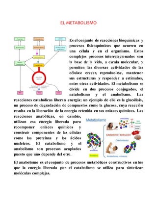 EL METABOLISMO
Es el conjunto de reacciones bioquímicas y
procesos fisicoquímicos que ocurren en
una célula y en el organismo. Estos
complejos procesos interrelacionados son
la base de la vida, a escala molecular, y
permiten las diversas actividades de las
células: crecer, reproducirse, mantener
sus estructuras y responder a estímulos,
entre otras actividades. El metabolismo se
divide en dos procesos conjugados, el
catabolismo y el anabolismo. Las
reacciones catabólicas liberan energía; un ejemplo de ello es la glucólisis,
un proceso de degradación de compuestos como la glucosa, cuya reacción
resulta en la liberación de la energía retenida en sus enlaces químicos. Las
reacciones anabólicas, en cambio,
utilizan esa energía liberada para
recomponer enlaces químicos y
construir componentes de las células
como las proteínas y los ácidos
nucleicos. El catabolismo y el
anabolismo son procesos acoplados
puesto que uno depende del otro.
El anabolismo es el conjunto de procesos metabólicos constructivos en los
que la energía liberada por el catabolismo se utiliza para sintetizar
moléculas complejas.