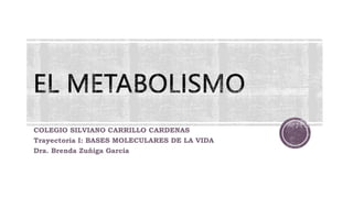 COLEGIO SILVIANO CARRILLO CARDENAS
Trayectoria I: BASES MOLECULARES DE LA VIDA
Dra. Brenda Zuñiga Garcia
 