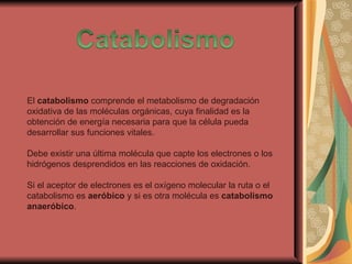 El catabolismo comprende el metabolismo de degradación
oxidativa de las moléculas orgánicas, cuya finalidad es la
obtención de energía necesaria para que la célula pueda
desarrollar sus funciones vitales.

Debe existir una última molécula que capte los electrones o los
hidrógenos desprendidos en las reacciones de oxidación.

Si el aceptor de electrones es el oxígeno molecular la ruta o el
catabolismo es aeróbico y si es otra molécula es catabolismo
anaeróbico.
 