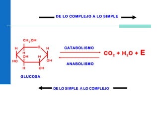 GLUCOSA
DE LO COMPLEJO A LO SIMPLE
DE LO SIMPLE A LO COMPLEJO
CATABOLISMO
CO2 + H2O + E
ANABOLISMO
 