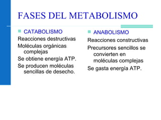 FASES DEL METABOLISMO
 CATABOLISMO
Reacciones destructivas
Moléculas orgánicas
complejas
Se obtiene energía ATP.
Se producen moléculas
sencillas de desecho.
 ANABOLISMO
Reacciones constructivas
Precursores sencillos se
convierten en
moléculas complejas
Se gasta energía ATP.
 