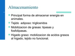 Almacenamiento
 Principal forma de almacenar energia en
animales.
 Tejido adiposo: trigliceridos
 Mobilizacion de grasas: lipasas y
fosfolipasas.
 Higado graso: mobilizacion de acidos grasos
al higado, tejido no funcional.
 