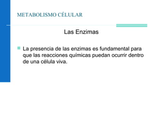 METABOLISMO CÉLULAR
Las Enzimas
 La presencia de las enzimas es fundamental para
que las reacciones químicas puedan ocurrir dentro
de una célula viva.
 
