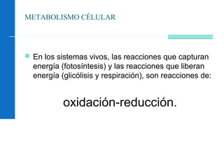 METABOLISMO CÉLULAR
 En los sistemas vivos, las reacciones que capturan
energía (fotosíntesis) y las reacciones que liberan
energía (glicólisis y respiración), son reacciones de:
oxidación-reducción.
 