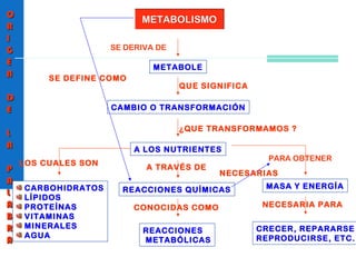 SE DERIVA DE
METABOLE
QUE SIGNIFICA
CAMBIO O TRANSFORMACIÓN
¿QUE TRANSFORMAMOS ?
A LOS NUTRIENTES
LOS CUALES SON
CARBOHIDRATOS
LÍPIDOS
PROTEÍNAS
VITAMINAS
MINERALES
AGUA
A TRAVÉS DE
REACCIONES QUÍMICAS
CONOCIDAS COMO
REACCIONES
METABÓLICAS
PARA OBTENER
MASA Y ENERGÍA
NECESARIA PARA
CRECER, REPARARSE
REPRODUCIRSE, ETC.
OO
RR
II
GG
EE
NN
DD
EE
LL
AA
PP
AA
LL
AA
BB
RR
AA
SE DEFINE COMO
NECESARIAS
METABOLISMOMETABOLISMO
 