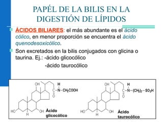 62
PAPÉL DE LA BILIS EN LA
DIGESTIÓN DE LÍPIDOS
 ÁCIDOS BILIARES: el más abundante es el ácido
cólico, en menor proporción se encuentra el ácido
quenodesoxicólico.
 Son excretados en la bilis conjugados con glicina o
taurina. Ej.: -ácido glicocólico
-ácido taurocólico
Ácido
glicocólico
Ácido
taurocólico
 