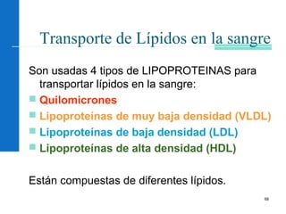 68
Transporte de Lípidos en la sangre
Son usadas 4 tipos de LIPOPROTEINAS para
transportar lípidos en la sangre:
 Quilomicrones
 Lipoproteínas de muy baja densidad (VLDL)
 Lipoproteínas de baja densidad (LDL)
 Lipoproteínas de alta densidad (HDL)
Están compuestas de diferentes lípidos.
 