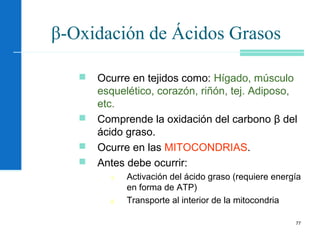 77
β-Oxidación de Ácidos Grasos
 Ocurre en tejidos como: Hígado, músculo
esquelético, corazón, riñón, tej. Adiposo,
etc.
 Comprende la oxidación del carbono β del
ácido graso.
 Ocurre en las MITOCONDRIAS.
 Antes debe ocurrir:
1. Activación del ácido graso (requiere energía
en forma de ATP)
2. Transporte al interior de la mitocondria
 
