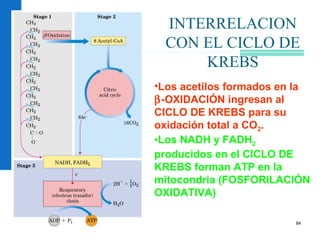 84
INTERRELACION
CON EL CICLO DE
KREBS
•Los acetilos formados en la
β-OXIDACIÓN ingresan al
CICLO DE KREBS para su
oxidación total a CO2.
•Los NADH y FADH2
producidos en el CICLO DE
KREBS forman ATP en la
mitocondria (FOSFORILACIÓN
OXIDATIVA)
 