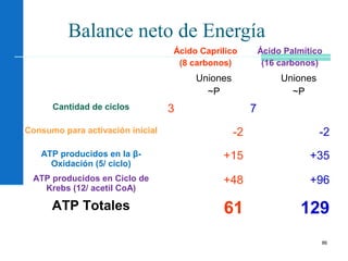 86
Balance neto de Energía
Ácido Caprilico
(8 carbonos)
Ácido Palmítico
(16 carbonos)
Uniones
~P
Uniones
~P
Cantidad de ciclos 3 7
Consumo para activación inicial -2 -2
ATP producidos en la β-
Oxidación (5/ ciclo)
+15 +35
ATP producidos en Ciclo de
Krebs (12/ acetil CoA)
+48 +96
ATP Totales 61 129
 