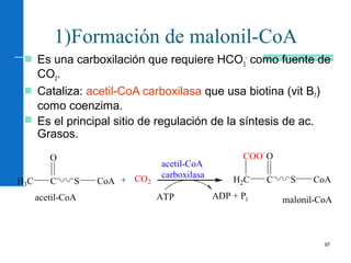97
1)Formación de malonil-CoA
 Es una carboxilación que requiere HCO3
-
como fuente de
CO2.
 Cataliza: acetil-CoA carboxilasa que usa biotina (vit B7)
como coenzima.
 Es el principal sitio de regulación de la síntesis de ac.
Grasos.
H3C C
O
S CoA + CO2
ATP ADP + Pi
H2C C
O
S CoA
COO-
acetil-CoA
carboxilasa
acetil-CoA malonil-CoA
 