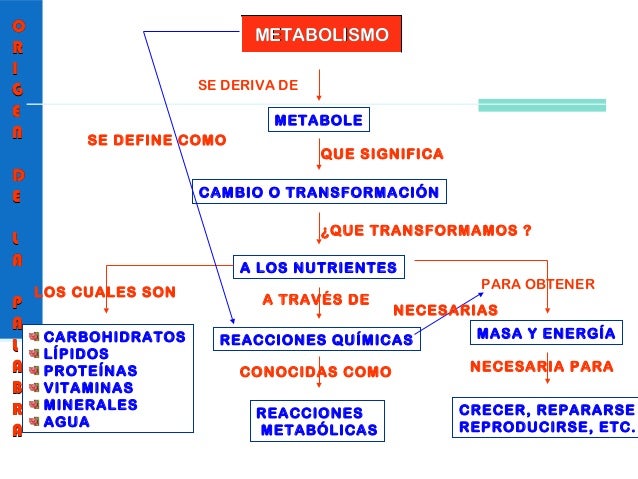 Marca y metabolismo social