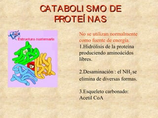 CATABOLI SMO DECATABOLI SMO DE
PROTEÍ NASPROTEÍ NAS
No se utilizan normalmente
como fuente de energía.
1.Hidrólisis de la proteína
produciendo aminoácidos
libres.
2.Desaminación : el NH2 se
elimina de diversas formas.
3.Esqueleto carbonado:
Acetil CoA
 