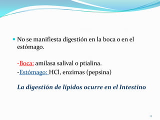  No se manifiesta digestión en la boca o en el
estómago.

-Boca: amilasa salival o ptialina.
-Estómago: HCl, enzimas (pepsina)
La digestión de lípidos ocurre en el Intestino

11

 