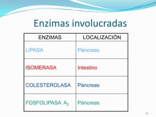 Enzimas involucradas
ENZIMAS

LOCALIZACIÓN

LIPASA

Páncreas

ISOMERASA

Intestino

COLESTEROLASA

Páncreas

FOSFOLIPASA A2

Páncreas
12

 