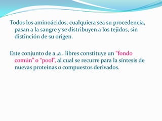 Todos los aminoácidos, cualquiera sea su procedencia,
pasan a la sangre y se distribuyen a los tejidos, sin
distinción de su origen.
Este conjunto de a .a . libres constituye un “fondo
común” o “pool”, al cual se recurre para la síntesis de
nuevas proteínas o compuestos derivados.

 