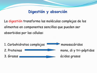 Digestión y absorción
La digestión transforma las moléculas complejas de los
alimentos en componentes sencillos que pueden ser
absorbidos por las células:

1. Carbohidratos complejos

monosacáridos

2. Proteinas

mono, di y tri-péptidos

3. Grasas

ácidos grasos

 