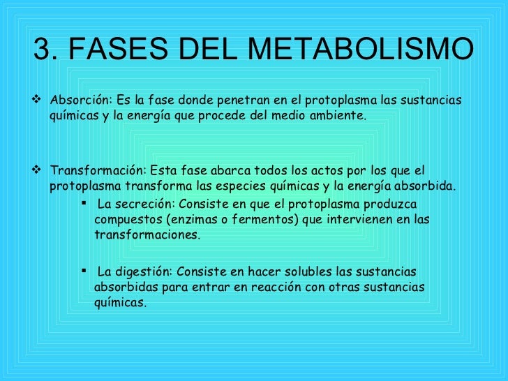 Aquí es whay usted debe hacer sobre cuestionario de adherencia a la dieta mediterránea