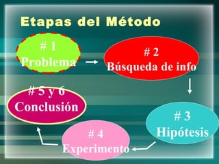 Etapas del Método   # 1 Problema # 3 Hipótesis # 2 Búsqueda de info # 4 Experimento # 5 y 6 Conclusión 