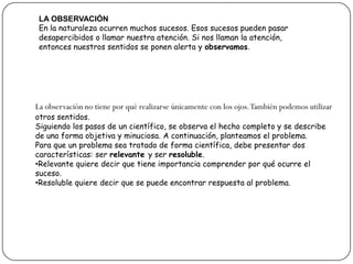 LA OBSERVACIÓN
 En la naturaleza ocurren muchos sucesos. Esos sucesos pueden pasar
 desapercibidos o llamar nuestra atención. Si nos llaman la atención,
 entonces nuestros sentidos se ponen alerta y observamos.




La observación no tiene por qué realizarse únicamente con los ojos. También podemos utilizar
otros sentidos.
Siguiendo los pasos de un científico, se observa el hecho completo y se describe
de una forma objetiva y minuciosa. A continuación, planteamos el problema.
Para que un problema sea tratado de forma científica, debe presentar dos
características: ser relevante y ser resoluble.
•Relevante quiere decir que tiene importancia comprender por qué ocurre el
suceso.
•Resoluble quiere decir que se puede encontrar respuesta al problema.
 