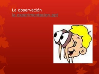 La observación
la experimentacion.ppt
 