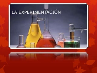 LA EXPERIMENTACIÓN
 
