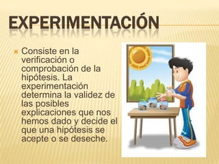 EXPERIMENTACIÓN
   Consiste en la
    verificación o
    comprobación de la
    hipótesis. La
    experimentación
    determina la validez de
    las posibles
    explicaciones que nos
    hemos dado y decide el
    que una hipótesis se
    acepte o se deseche.
 