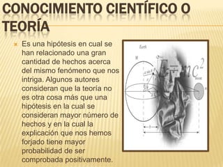 CONOCIMIENTO CIENTÍFICO O
TEORÍA
    Es una hipótesis en cual se
     han relacionado una gran
     cantidad de hechos acerca
     del mismo fenómeno que nos
     intriga. Algunos autores
     consideran que la teoría no
     es otra cosa más que una
     hipótesis en la cual se
     consideran mayor número de
     hechos y en la cual la
     explicación que nos hemos
     forjado tiene mayor
     probabilidad de ser
     comprobada positivamente.
 