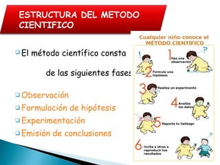  El método científico consta
de las siguientes fases:
 Observación
 Formulación de hipótesis
 Experimentación
 Emisión de conclusiones
ESTRUCTURA DEL METODO
CIENTIFICO
 