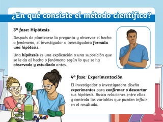 3ª fase: Hipótesis
Después de plantearse la pregunta y observar el hecho
o fenómeno, el investigador o investigadora formula
una hipótesis.
Una hipótesis es una explicación o una suposición que
se le da al hecho o fenómeno según lo que se ha
observado y estudiado antes.
4º fase: Experimentación
El investigador o investigadora diseña
experimentos para confirmar o descartar
sus hipótesis. Busca relaciones entre ellas
y controla las variables que pueden influir
en el resultado.
¿En qué consiste el método científico?
 