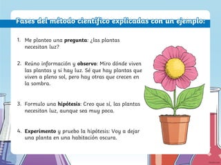 Me planteo una pregunta: ¿las plantas
necesitan luz?
Reúno información y observo: Miro dónde viven
las plantas y si hay luz. Sé que hay plantas que
viven a pleno sol, pero hay otras que crecen en
la sombra.
Formulo una hipótesis: Creo que sí, las plantas
necesitan luz, aunque sea muy poca.
Experimento y pruebo la hipótesis: Voy a dejar
una planta en una habitación oscura.
Fases del método científico explicadas con un ejemplo:
1.
2.
3.
4.
 