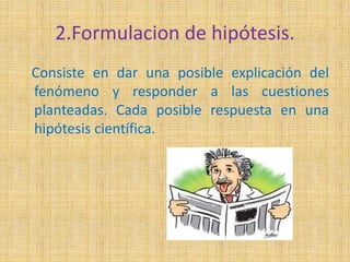 2.Formulacion de hipótesis. 
Consiste en dar una posible explicación del 
fenómeno y responder a las cuestiones 
planteadas. Cada posible respuesta en una 
hipótesis científica. 
 