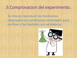 3.Comprovacion del experimento. 
Se intenta reproducir los fenómenos 
observados en condiciones controladas para 
verificar si las hipótesis son verdaderas. 
 
