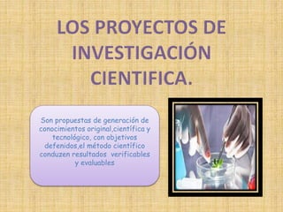 Son propuestas de generación de 
conocimientos original,científica y 
tecnológico, con objetivos 
defenidos,el método científico 
conduzen resultados verificables 
y evaluables 
 