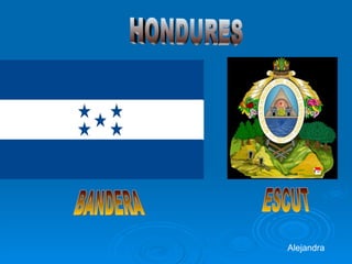 HONDURES BANDERA ESCUT Alejandra 