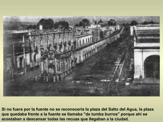 Si no fuera por la fuente no se reconocería la plaza del Salto del Agua, la plaza que quedaba frente a la fuente se llamaba "de tumba burros" porque ahí se acostaban a descansar todas las recuas que llegaban a la ciudad. 