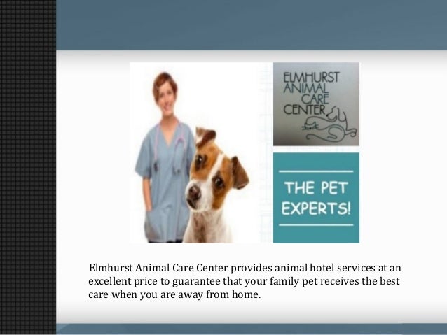 Elmhurst Animal Care Center Advantage Of Pet Hotels