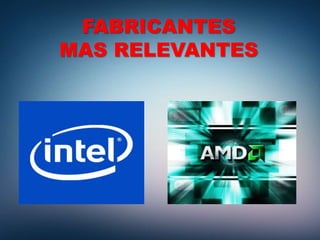 FABRICANTES
MAS RELEVANTES
 