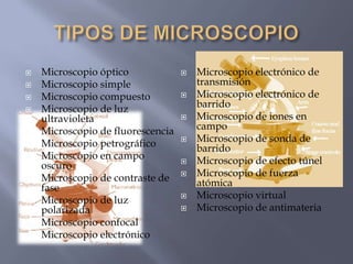  Microscopio óptico
 Microscopio simple
 Microscopio compuesto
 Microscopio de luz
ultravioleta
 Microscopio de fluorescencia
 Microscopio petrográfico
 Microscopio en campo
oscuro
 Microscopio de contraste de
fase
 Microscopio de luz
polarizada
 Microscopio confocal
 Microscopio electrónico
 Microscopio electrónico de
transmisión
 Microscopio electrónico de
barrido
 Microscopio de iones en
campo
 Microscopio de sonda de
barrido
 Microscopio de efecto túnel
 Microscopio de fuerza
atómica
 Microscopio virtual
 Microscopio de antimateria
 