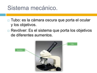 Sistema mecánico. 
 Tubo: es la cámara oscura que porta el ocular 
y los objetivos. 
 Revólver: Es el sistema que porta los objetivos 
de diferentes aumentos. 
Revólver. 
Tubo. 
 