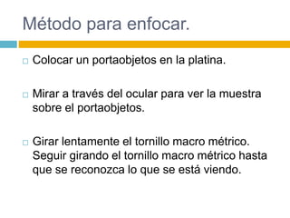 Método para enfocar. 
 Colocar un portaobjetos en la platina. 
 Mirar a través del ocular para ver la muestra 
sobre el portaobjetos. 
 Girar lentamente el tornillo macro métrico. 
Seguir girando el tornillo macro métrico hasta 
que se reconozca lo que se está viendo. 
 