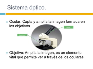 Sistema óptico. 
 Ocular: Capta y amplía la imagen formada en 
los objetivos. 
Ocular. 
Objetivos. 
 Objetivo: Amplía la imagen, es un elemento 
vital que permite ver a través de los oculares. 
 