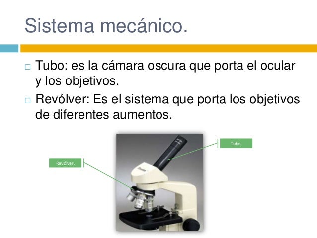 El microscopio