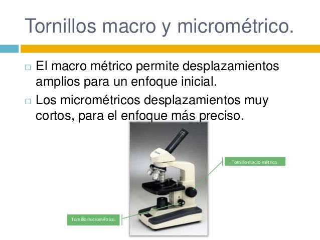 El microscopio