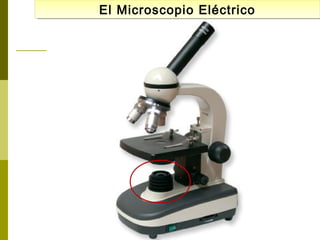 El Microscopio Eléctrico
El Microscopio Eléctrico

 