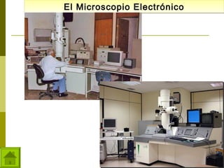 El Microscopio Electrónico
El Microscopio Electrónico

 